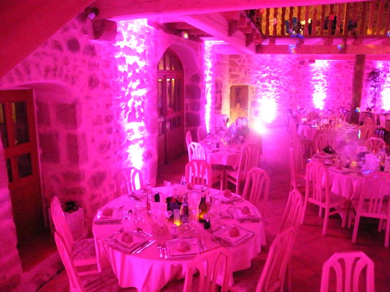 Château des Martinanches_63520 SAINT DIER_12